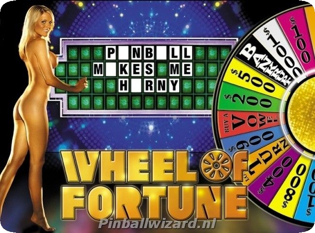 wheel of fortune pinball machine for sale